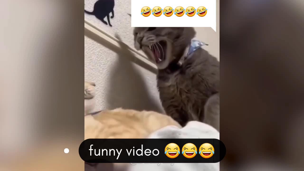 Trending funny video part 16🤣🤣