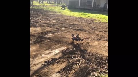 Traxxas rustler VXL 4 x 4 front yard bashing slow Mo