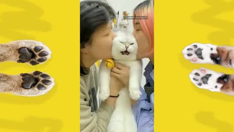 Funny video with our friendly animals