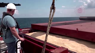 Inspectors examine grain ship cargo