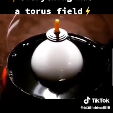 Toroidal field