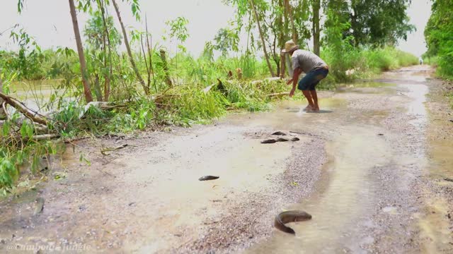 Flood fishing