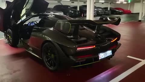 Mclaren Senna