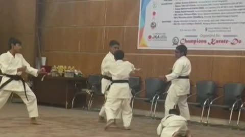 KATA Haiyan Nidan bunkai