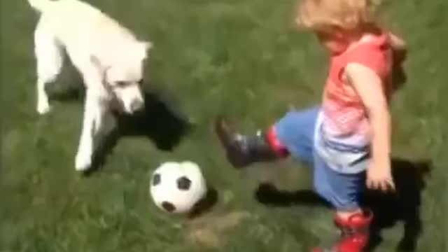 He Loves To Play Ball With His Dog