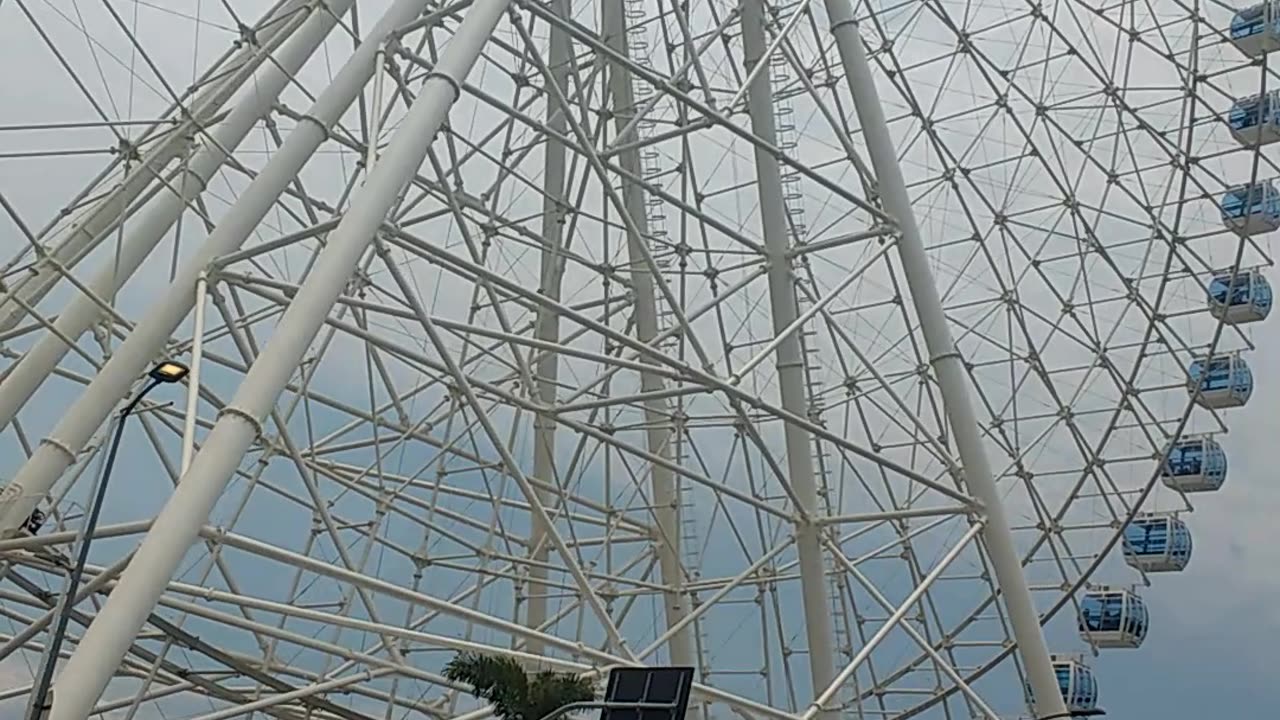 A ferris wheel near traffic! How crazy!!!