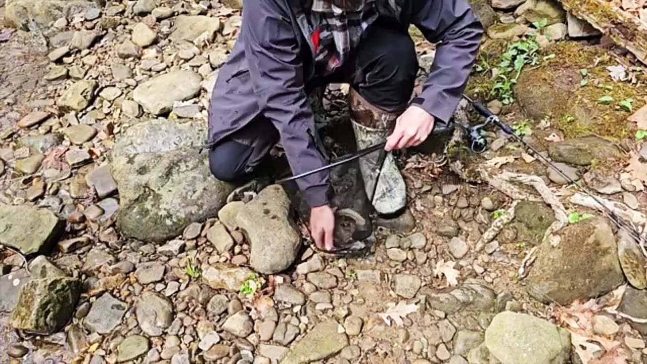 Catch and Cook Rainbow Trout in the Mountains Using Foraged Wild Leeks and Morels