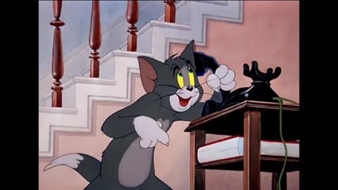 Tom and jerry cartoon,