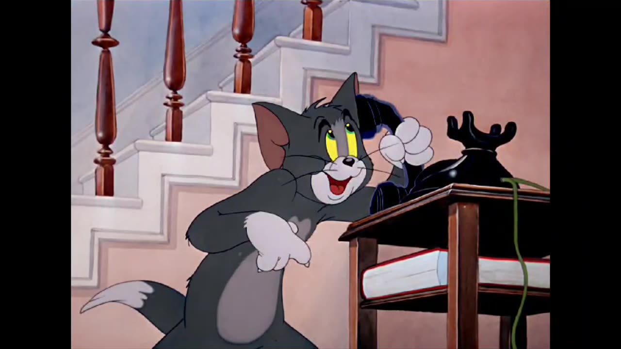 Tom and jerry cartoon,