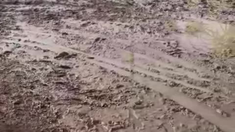 Inundaciones en Bayunca