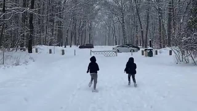 Kiddos Run to Get a Better Look at Albino Deer