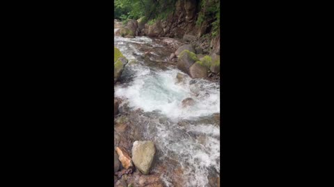 Lord, Let Us See Your Kindness