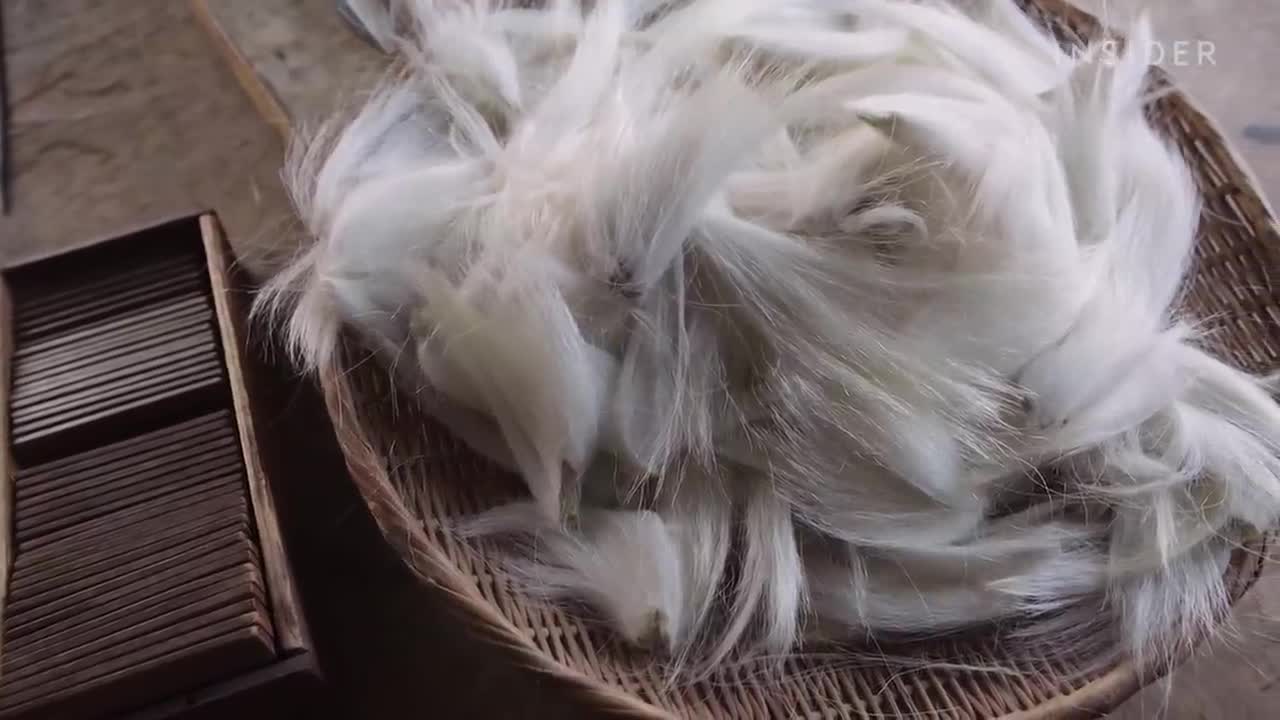 Indian wThe Indi