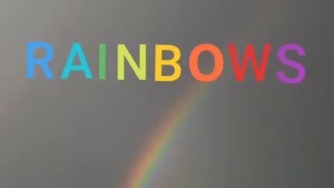 Rainbows (Destination Unknown - 2019) - The Mallar Experience.