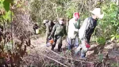 Cerca de una hectárea de bosque en la vereda La Girona de Lebrija, fueron talados