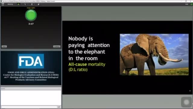 "the elephant in the room"