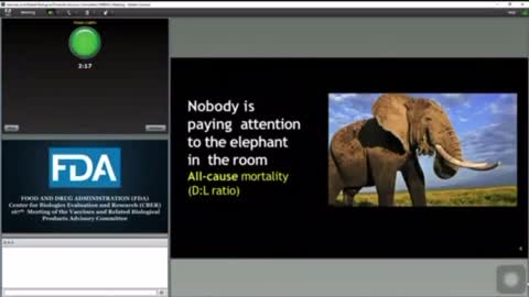 "the elephant in the room"