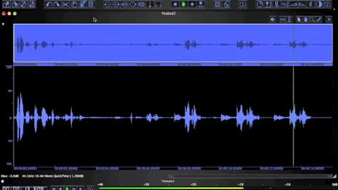 'Sandy Hook - Take or End The Life Of Adam - Police Scanner Audio Details' - 2012