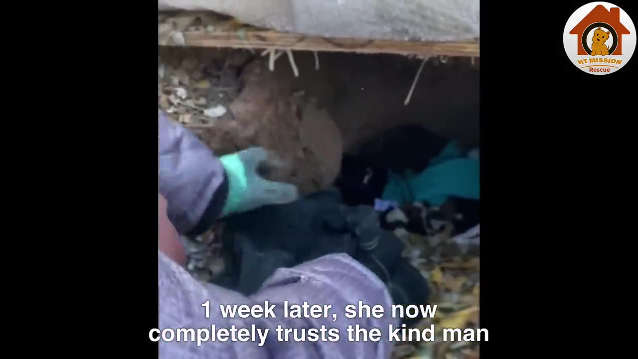 Cold -12°C, she held her five small children lying in a hole shivering from cold and hunger