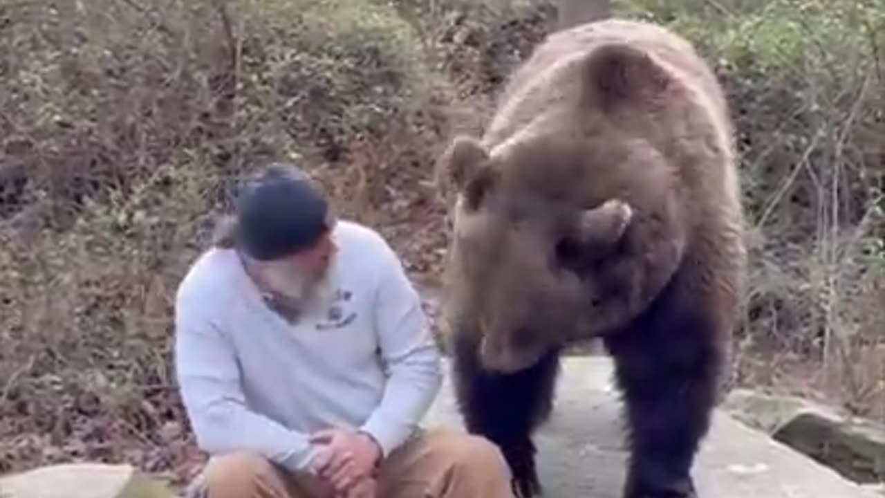 Bear man talks and feeds brown bear