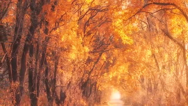 Cherish time because it is the source of your life