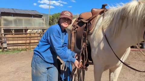 How to: ground-drive your horse