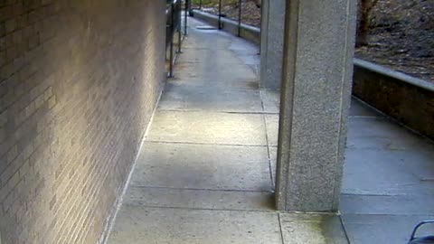 8026FCOB01RearDoorEntranceExterior_2021-01-05_16h40min02s640ms.mp4