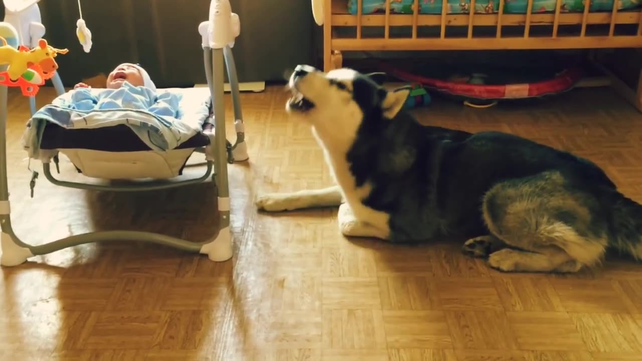 Dog and boy