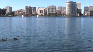 Oakland, CA — Lake Merritt #2