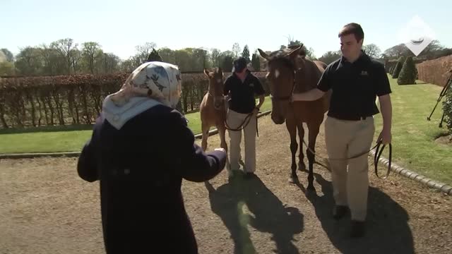 Unseen footage of the Queen Shows Her Love of Horses