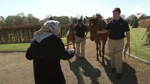 Unseen footage of the Queen Shows Her Love of Horses