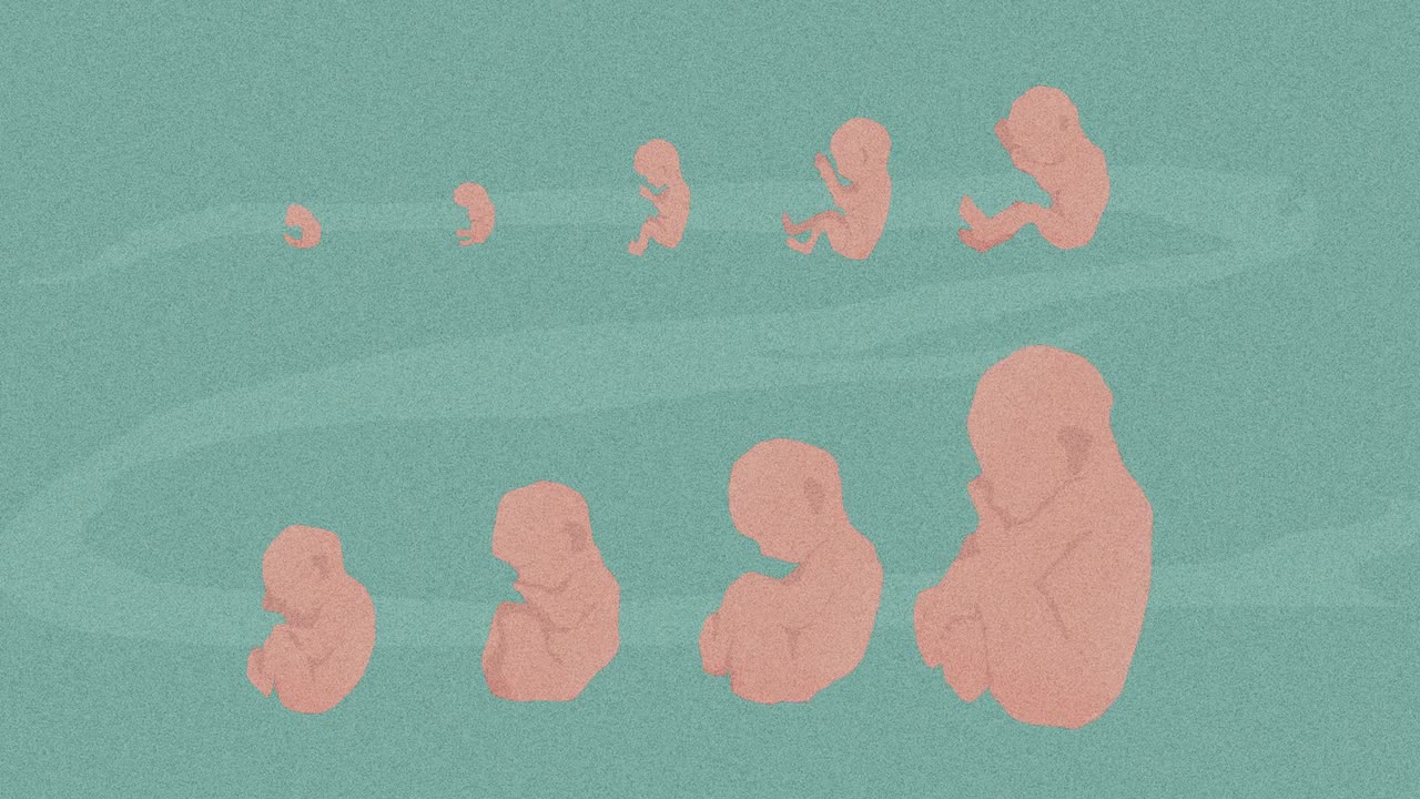 0007 - Emotions of Pregnancy (77973EM) - RECAP