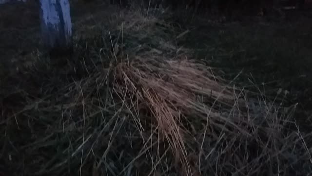 Psalm 15 Revised Standard (who shall dwell on thy holy hill?)