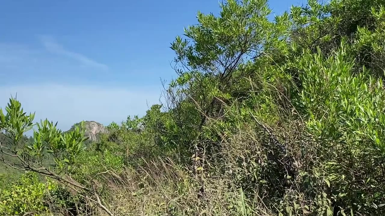 12/19 - Explorando a Trilha do Morro do Macaco em Bombinhas: Uma Experiência Imersiva! #bombinhas