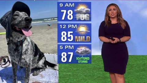 Lena Maria Arango's weather forecast (9/16/23)