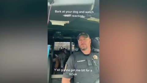 Funniest cat video 2023 gvl.