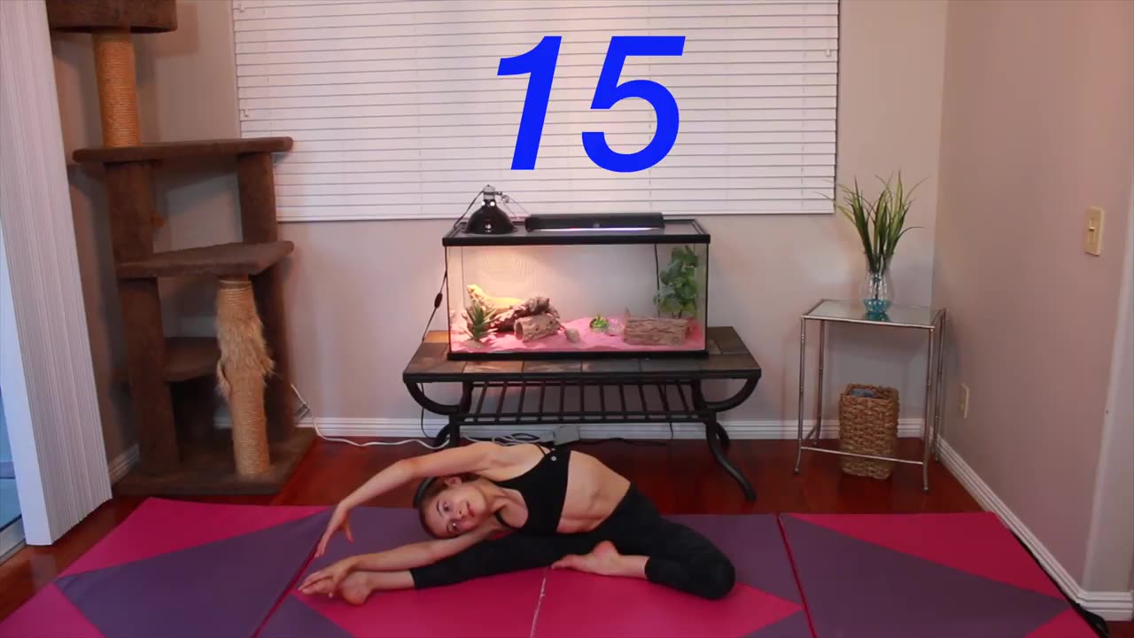 Fast-track to Full Split | Master the Split in 1 Day