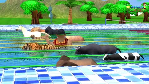 Counting Numbers Zoo Animals Swimming Race Fun Play Video