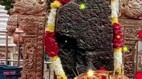 शनि देव की बदलेगी चाल, ये राशियाँ होंगी मालामाल। Shani Vakri 2024