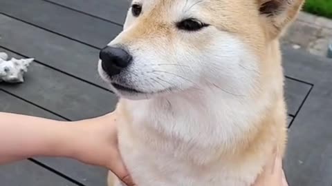 Wait for it…