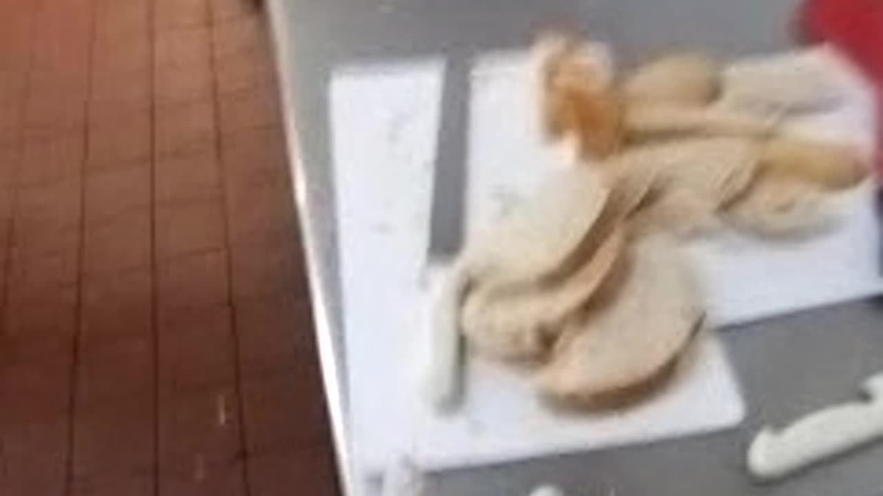 May 9, TUESDAY = WHITE DAY (2's), 12:06pm finish, 2023.