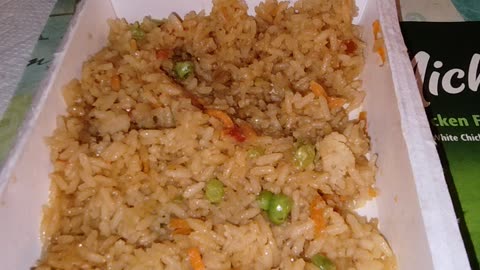 Eating Michelina's Chicken Fried Rice, Dbn, MI, 3/19/24