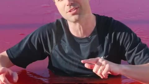 Uncovering the Insane Truth Behind the Worlds First JellO Pool