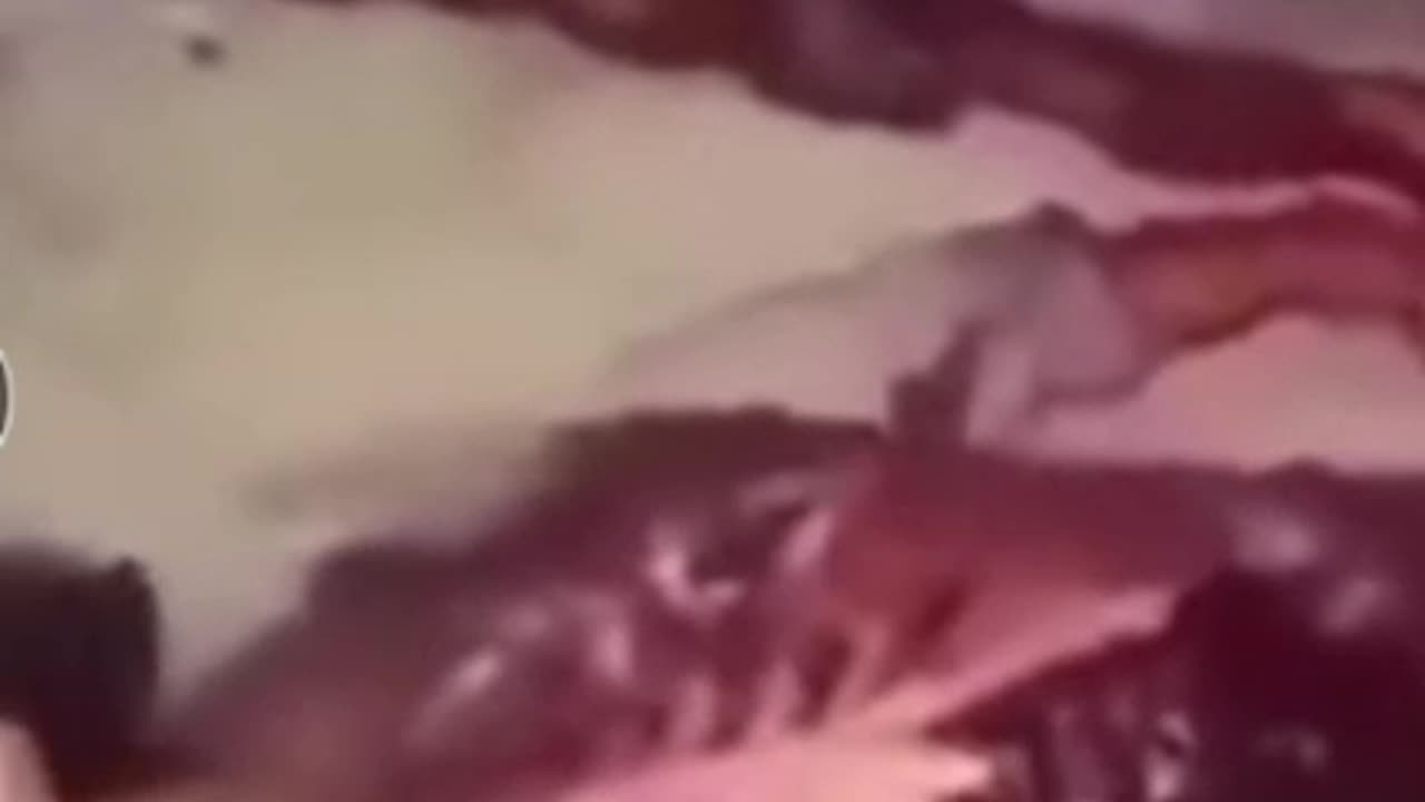 Oh ma god 😱,he k*lled theme 😨😨