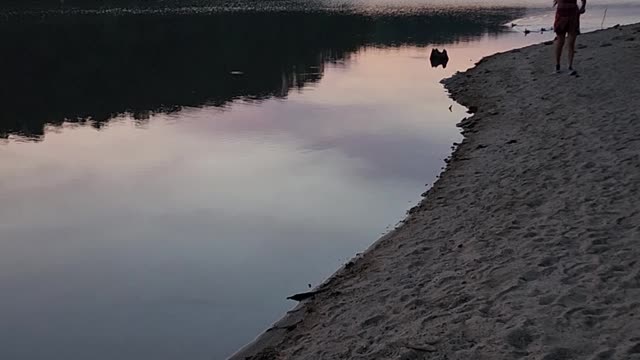 State park ducks