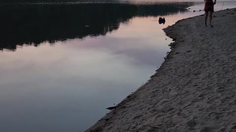 State park ducks