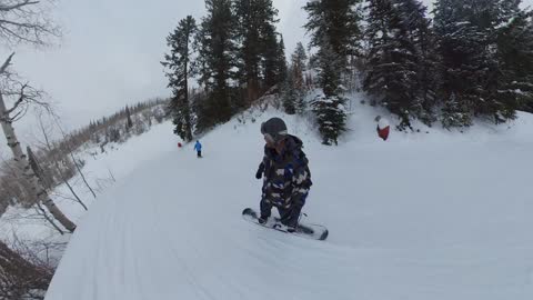 Snowboard Wipeout