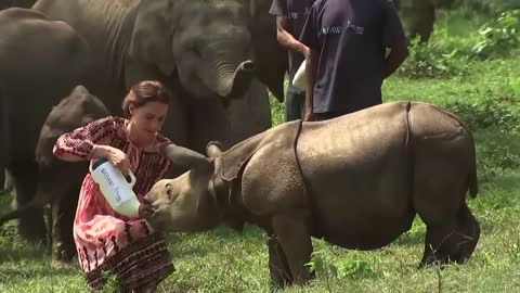 Kate and William feed baby elephants and rhinos