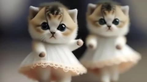 Meow 6. 😻