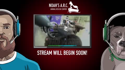 Elden Ring - 1st RIPthrough [Pt.3] // Animal Rescue